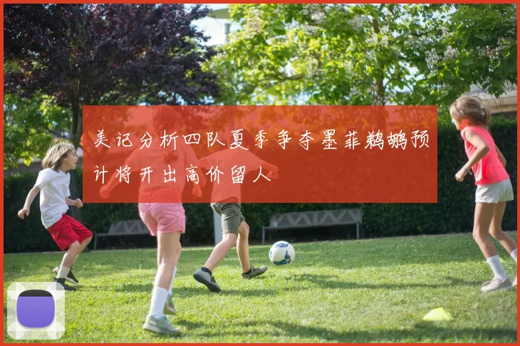 美记分析四队夏季争夺墨菲鹈鹕预计将开出高价留人